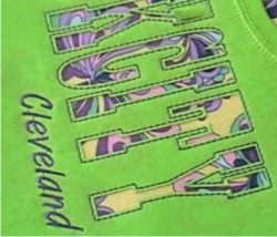 {short description of image}
